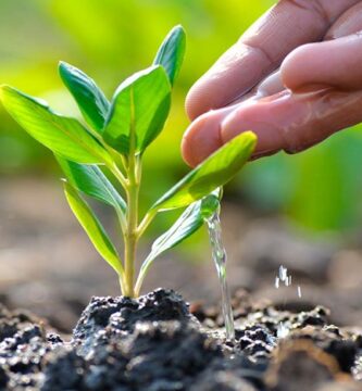 día de la tierra 2023