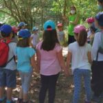 los bosques y la educación infantil