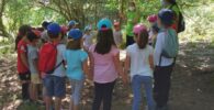 los bosques y la educación infantil