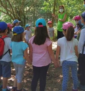los bosques y la educación infantil