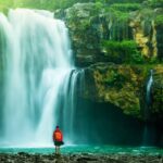 ecoturismo en los bosques