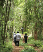 comunidades indígenas en los bosques